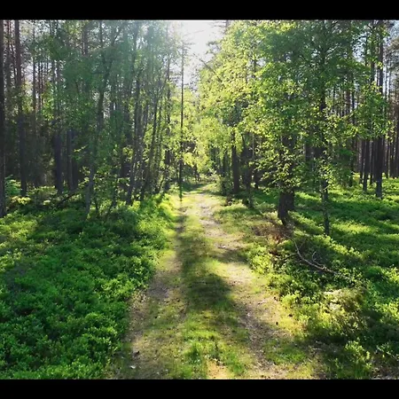 بيت خشبي Na Skraju Lasu Jasien (Bytow)
