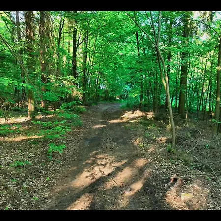 Na Skraju Lasu Jasien (Bytow)