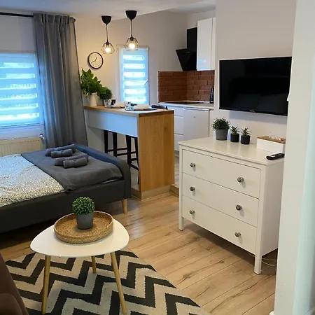 بيت خشبي Na Skraju Lasu *