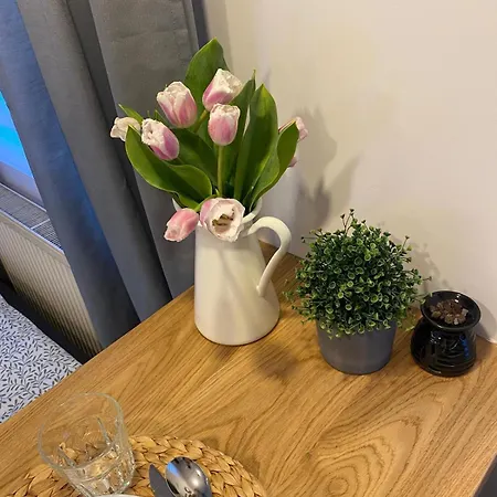 Na Skraju Lasu Jasien (Bytow)