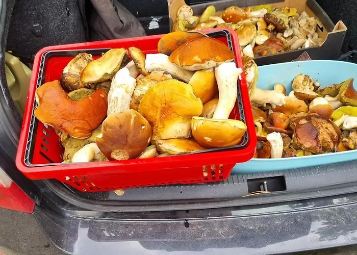 Na Skraju Lasu Gerendaház Jasien (Bytow)