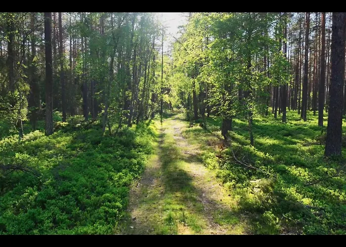 Gerendaház Na Skraju Lasu Jasien (Bytow)