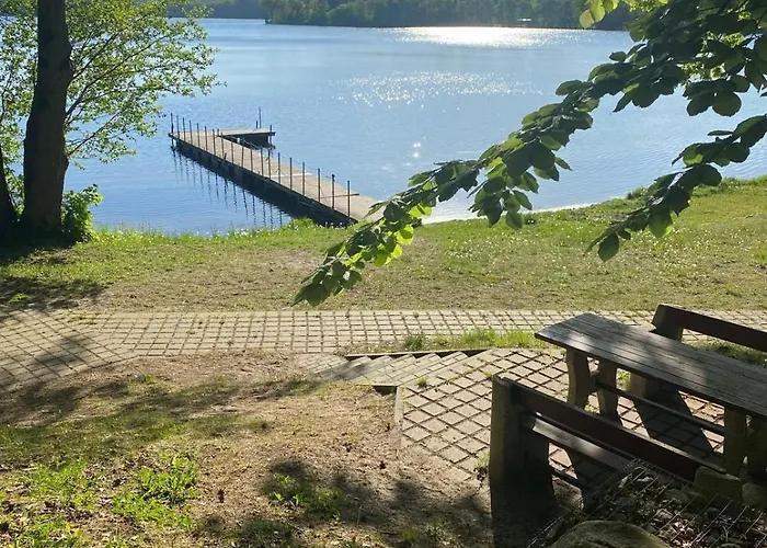 Na Skraju Lasu Jasien (Bytow)