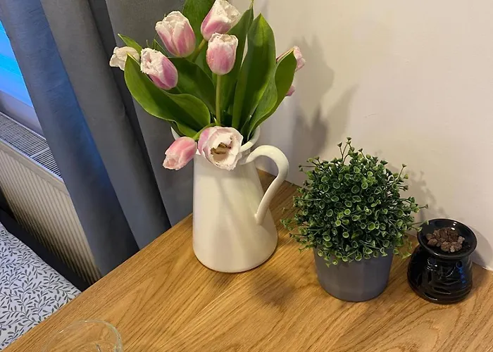 Na Skraju Lasu Jasien (Bytow)